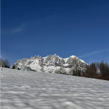 Eine schneebedeckte Landschaft mit hohen Bergen im Hintergrund. Der Himmel ist klar und blau.
