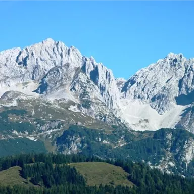 An impressive mountain panorama with snow-covered peaks and clear blue skies. The foreground features green meadows and forests.