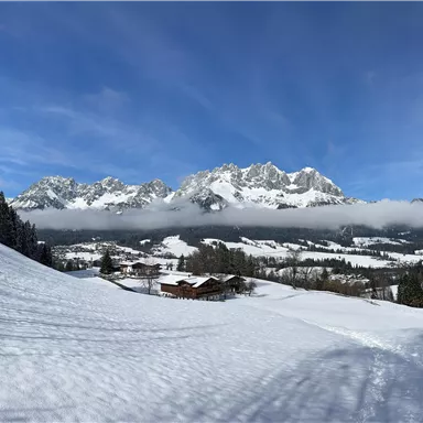 Eine winterliche Landschaft mit schneebedeckten Hügeln und beeindruckenden Bergen im Hintergrund. Der Himmel ist klar und blau, was eine ruhige Atmosphäre schafft.