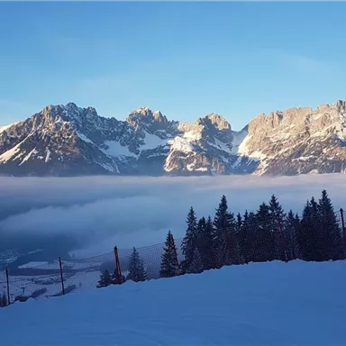 Eine beeindruckende Berglandschaft mit schneebedeckten Gipfeln und einem klaren blauen Himmel. Im Vordergrund stehen verschneite Bäume und Nebel bedeckt das Tal.