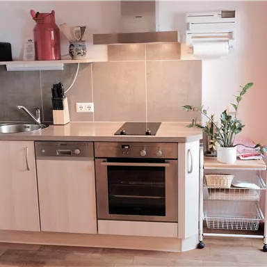 A modern kitchen with wooden cabinets and stainless steel appliances. It features a small table unit and a houseplant in the corner.