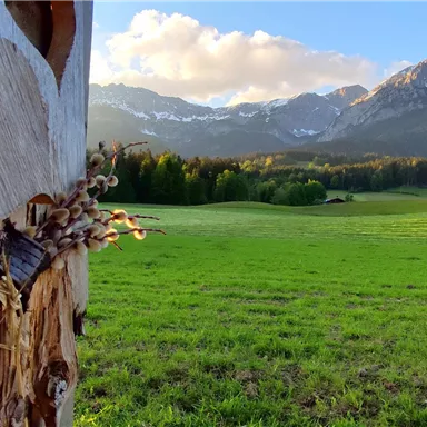 A wide meadow with mountains in the background and a clear sky. In the foreground, there is a rustic gate.