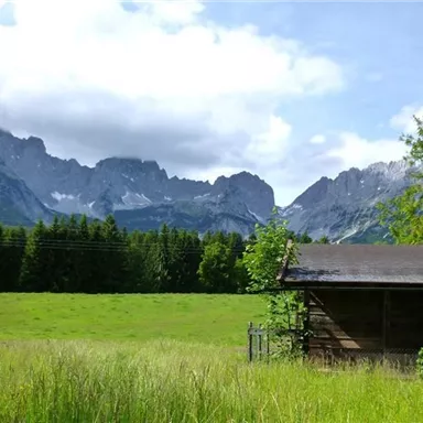 A picturesque landscape with high mountains and green grass. In the foreground stands a small wooden barn surrounded by trees.