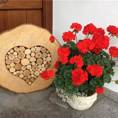 A heart-shaped wooden sign made of small pieces of wood is leaning against the wall. Next to it stands a pot with bright red geraniums.