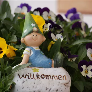 Eine kleine Figur eines Gartenzwerges sitzt auf einem Stein mit der Aufschrift "Willkommen". Im Hintergrund sind bunte Stiefmütterchen zu sehen.