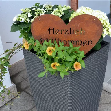 Ein dekorativer Blumentopf mit bunten Blumen und einem herzförmigen Schild. Das Schild trägt die Aufschrift „Herzlich Willkommen“.