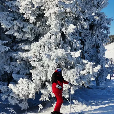 A person in red ski clothing is standing on a snowy slope. In the background, snow-covered trees can be seen.