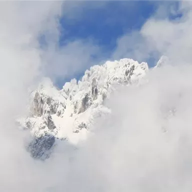 Snow-covered mountain peaks rise above dense clouds. The clear blue sky is visible in the background.