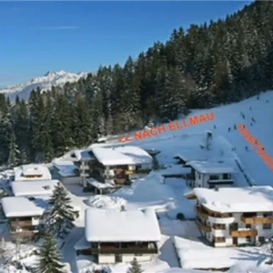 A wintry landscape with snow-covered cottages and tall fir trees. In the background, snow-covered mountains can be seen.