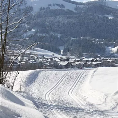 A snow-covered landscape with tracks in the snow. In the background, wooded hills and a small village can be seen.