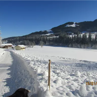 Eine verschneite Landschaft mit einem schmalen Weg. Im Hintergrund sind Hügel und einige Gebäude sichtbar.