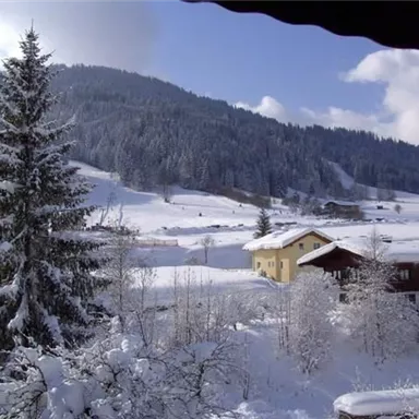 Eine verschneite Landschaft mit hohen Tannenbäumen und sanften Hügeln im Hintergrund. Einige traditionelle Häuser sind in der winterlichen Szenerie sichtbar.
