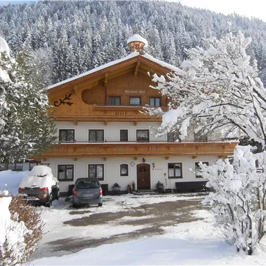 A alpine house in winter with a snow-covered roof. Surrounded by snowy trees and a picturesque mountain view.