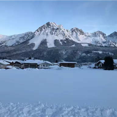 A snowy landscape with mountains in the background. The houses in the foreground are covered in snow.