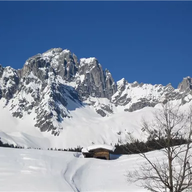 A snow-covered landscape with tall mountains in the background. The clear blue sky completes the winter scene.