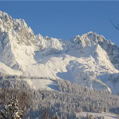 A snow-covered mountain landscape under a clear blue sky. The majestic peaks rise above the forested slopes.