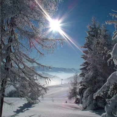 Eine wunderschöne Winterlandschaft mit schneebedeckten Bäumen und strahlendem Sonnenschein. Im Hintergrund sind die schneebedeckten Berge zu sehen.