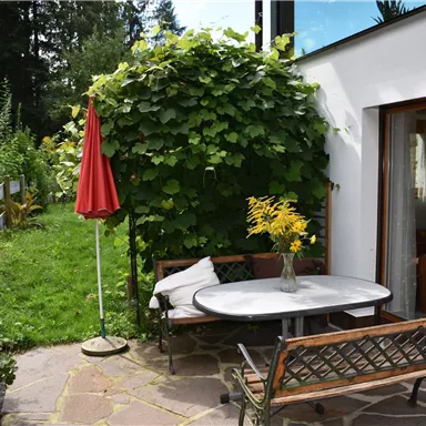 A cozy outdoor area with a table and benches, surrounded by plants. In the background, there is a red umbrella, and a view of a green meadow is visible.