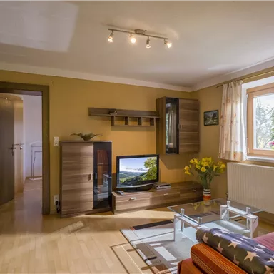 A cozy living room with a television, a sofa, and a large window front. The walls are painted in warm colors and a plant is on the table.