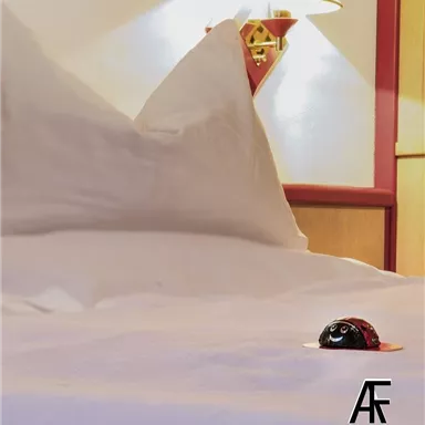 Ein gemütliches Bett mit weißen Kissen und einem roten Akzent. Auf der Bettdecke liegt ein kleiner, dekorativer Gegenstand in Form eines Käfers.