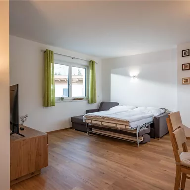 Ein modernes Wohnzimmer mit einem Schlafsofa und einem großen Fenster. Der Raum ist hell und freundlich mit Holzfußboden und minimalistischer Einrichtung.