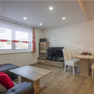 A modern apartment with a cozy living area and dining space. The room is bright and welcoming with wooden floors and large windows.