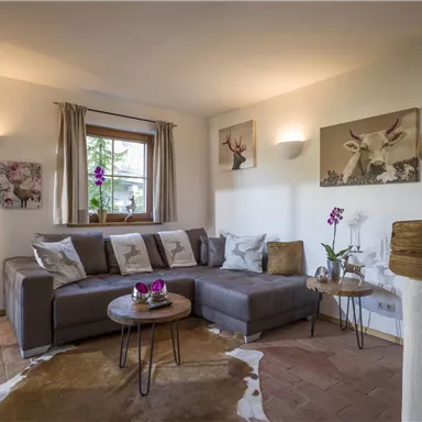 Ein gemütliches Wohnzimmer mit einem grauen Sofa und natürlichen Lichtquellen. Die Wände sind mit dezenten Bildern dekoriert, und ein kleiner Tisch ergänzt die Einrichtung.