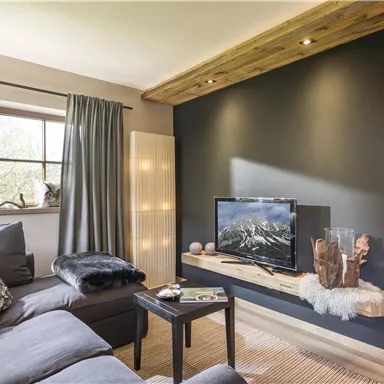 A modern living room with a gray sofa and a television on the wall.  
Bright windows let in a lot of light and create a cozy atmosphere.