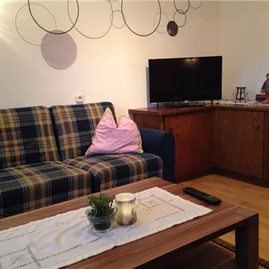 A cozy living room with a checkered sofa and a wooden table. The television is on a cabinet next to a small plant.