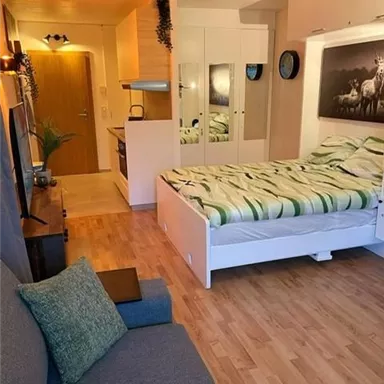 Ein gemütliches Studio-Apartment mit einem komfortablen Bett, einer Sofaecke und einer Küchenzeile. Die Wände sind hell, und es gibt eine ansprechende Dekoration.