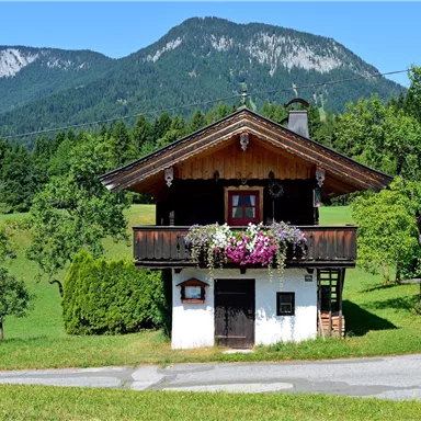 Ein traditionelles Haus in den Alpen mit einem blühenden Balkon und grüner Umgebung. Im Hintergrund sind majestätische Berge und ein klarer blauer Himmel zu sehen.