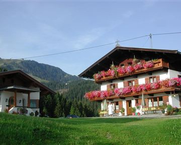 A traditional alpine house with flower balconies and an outbuilding. The surroundings are green and mountainous, ideal for a peaceful stay in nature.