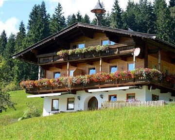 Ein charmantes Holzhaus mit blühenden Balkonkästen in einer grünen Landschaft. Umgeben von Bäumen und Wiesen strahlt es ländlichen Charme aus.