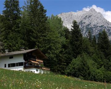 Ein gemütliches Haus in der Natur, umgeben von hohen Bäumen und einer blühenden Wiese. Im Hintergrund erhebt sich ein majestätischer Berg unter einem klaren Himmel.