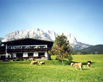 Eine malerische Alm mit Kühen auf einer Wiese und beeindruckenden Bergen im Hintergrund. Der Himmel ist klar und die Landschaft ist grün und einladend.