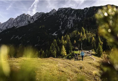 brentenjoch_hochegg_weinbergerhaus_wandern_102021_14cmax_draeger.jpg