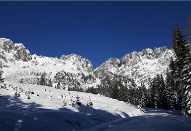 20181226_121918.jpg