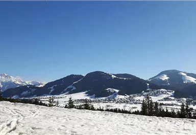 20190223_143812.jpg