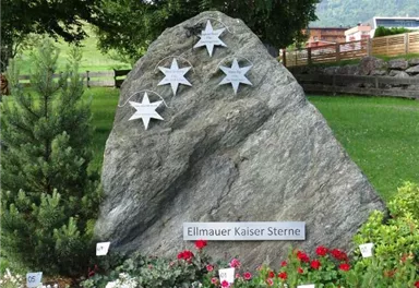 Blumen Kaisersterne.JPG