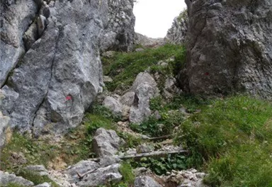 Ellmau_Klammlweg_Wilder Kaiser