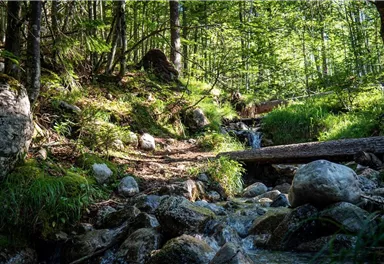 Spatlahner-Klamm/Gorge