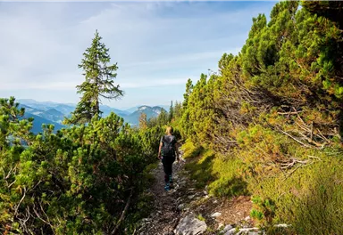 Ellmau_Wilder-Kaiser-Steig_Wilder Kaiser