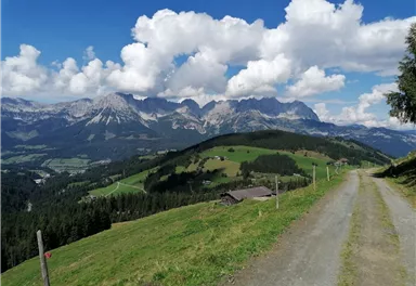 Going_11er_Weg_Sommer2021_Daniela_Pfeiler (8).jpg