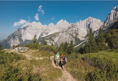 Kaiserkrone_Weitwanderweg_2023_Etappe1_MathäusGartner (25)_72dpi.jpg