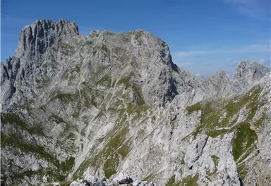 Going_Blick Richtung Ackerlspitze_Wilder Kaiser