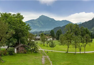 Appartement_Helferhof_Schwendterweg_72_74_Going_Ausblick_bearbeitet.jpg