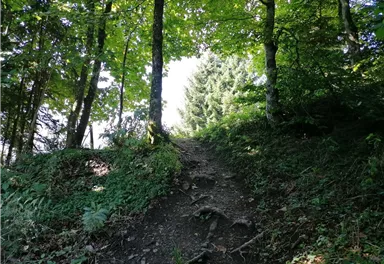 Going_Hollenau_Astberg_Weg Nr7_Wilder Kaiser