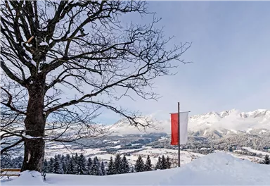 Panorama Hollenauer Kreuz mit Fahne_Going_Foto von Felbert_Reiter (1).jpg