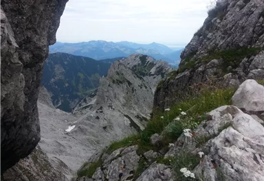 20150801_104319.jpg