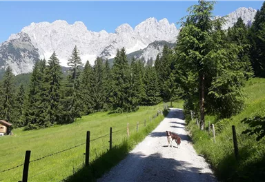 Going_Märchenwiese_Wilder Kaiser